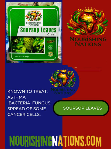 Soursop Leaves Crush